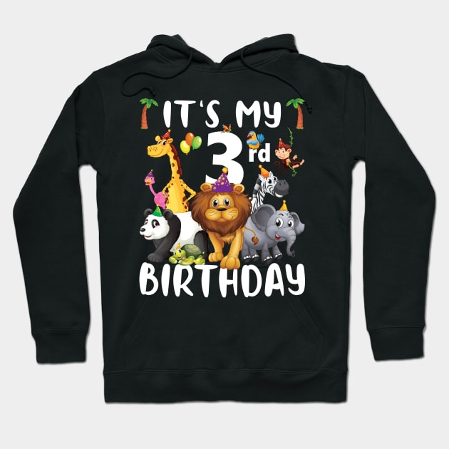 Its My 3rd Birthday Safari Jungle Zoo Lovers Birthday Party Hoodie by Sowrav